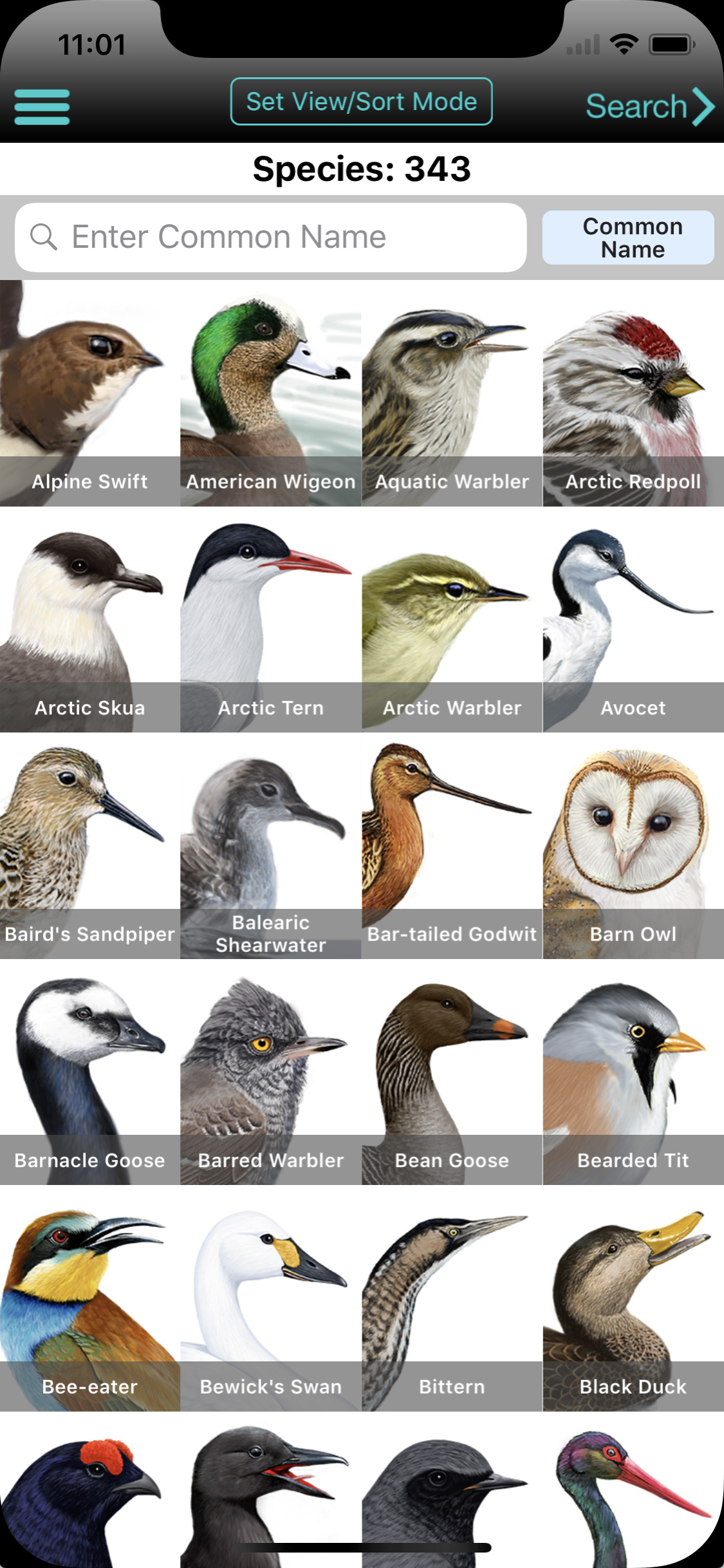 iBird UK Pro Guide to Birds