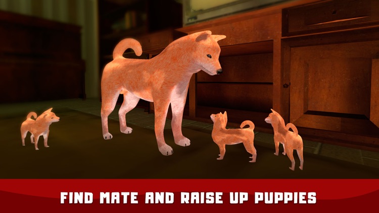 Japanese Dog House Adventure