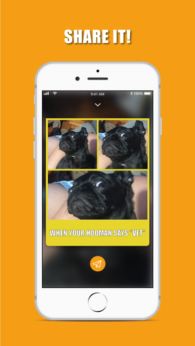 Screenshot #3 pour ZOOMeme