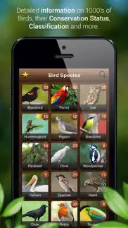 bird songs - bird call & guide iphone screenshot 3
