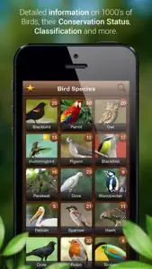 Bird Songs - Bird Call & Guide screenshot #4 for iPhone