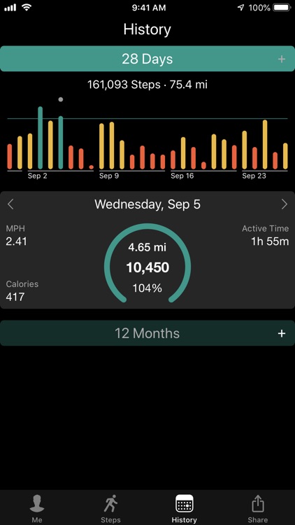 Stepwise Pedometer