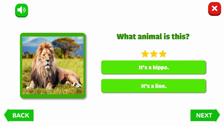 4D Land Animals - Smartcom