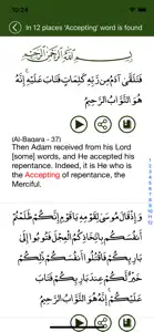 Al-Quran English screenshot #5 for iPhone