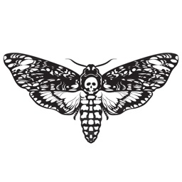 Moth - The Light's Curse