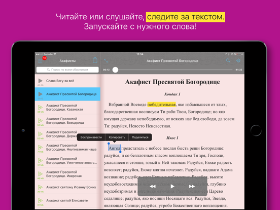 Screenshot #5 pour Акафисты православные