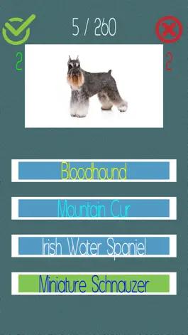 Game screenshot Dog Quiz  (250+ Breeds) apk