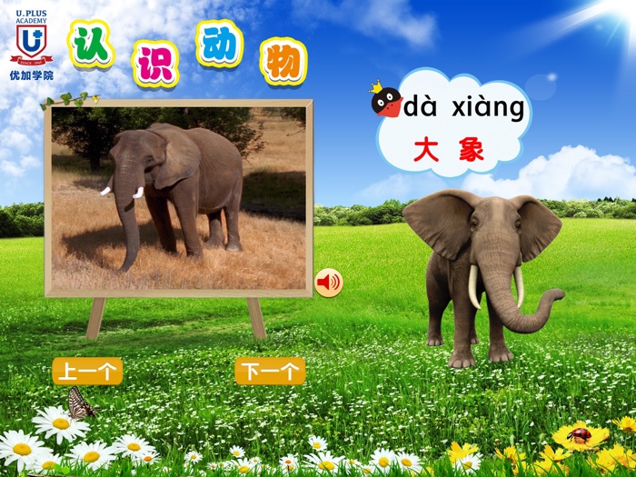 自闭症儿童认识动物-优加出品