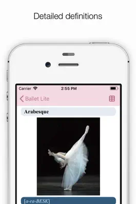 Game screenshot Ballet Index hack