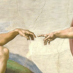 Michelangelo Buonarroti - Art