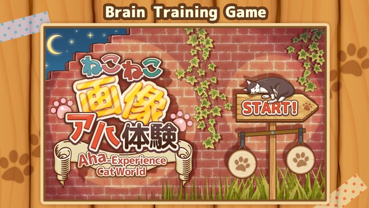 Aha-Experience Cat World