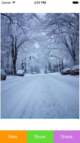 Game screenshot Snowing Pic mod apk