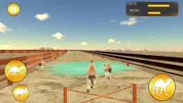 Game screenshot Desert King Camel Race hack