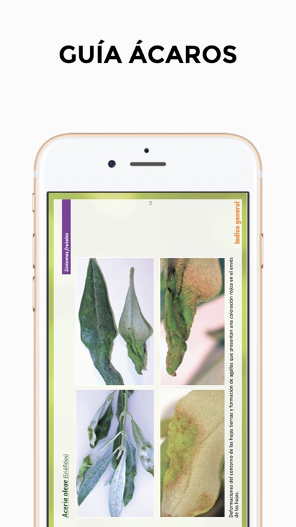 GUIA ACAROS screenshot-3