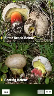 How to cancel & delete mushroom guide british isles 1
