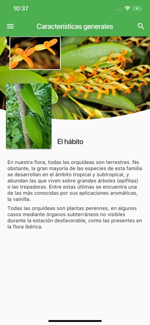 Orquídeas Ibéricas(圖2)-速報App