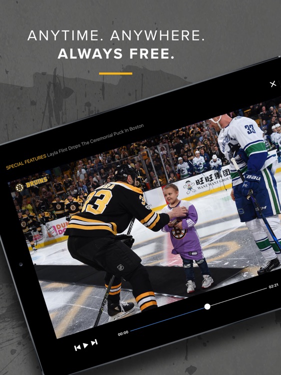 Bruins DeskSite screenshot-4