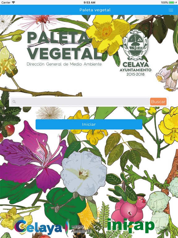Paleta vegetal