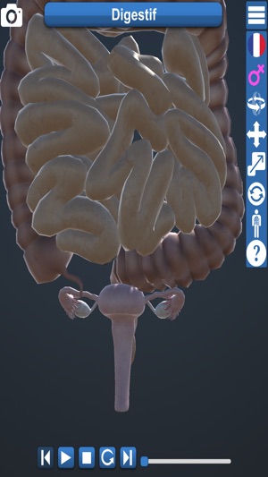 Educational Anatomy 3D(圖4)-速報App