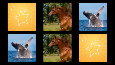 Let's Hear the Animals! HD Screenshot