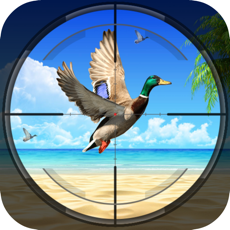 Activities of Duck Hunting Adventure