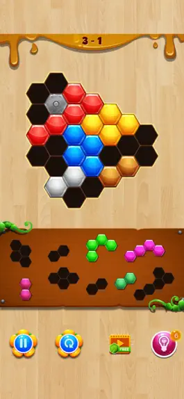 Game screenshot Wood Hexa Block Puzzle apk