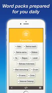 indonesian by nemo problems & solutions and troubleshooting guide - 2