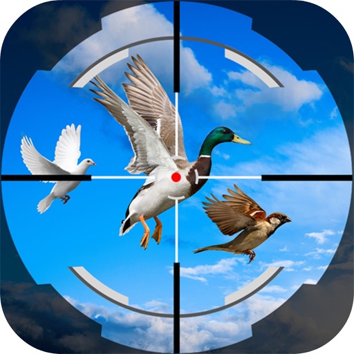 Shoot Fly Bird 3D icon