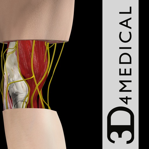 Elbow Pro III icono