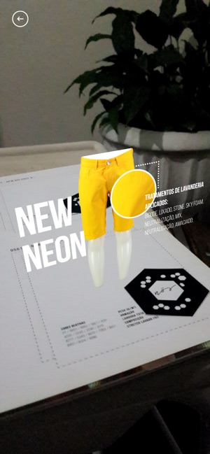 Cedro Nós(圖6)-速報App