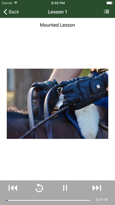 How to cancel & delete Riding Horses from iphone & ipad 3