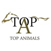 Top Animals