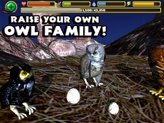 Owl Simulator для iPad