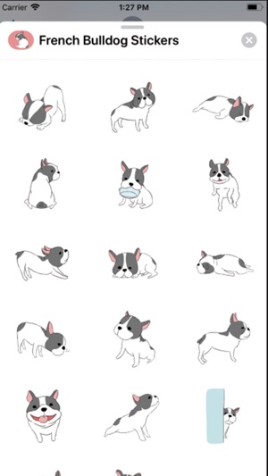 法國鬥牛犬貼紙!(圖3)-速報App