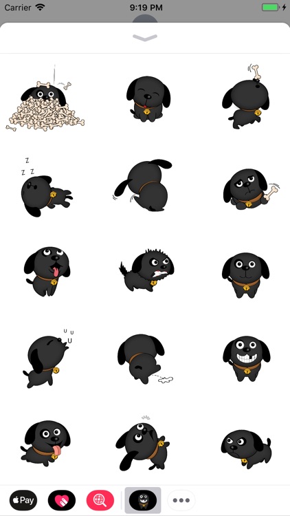 Cutest Black Dog