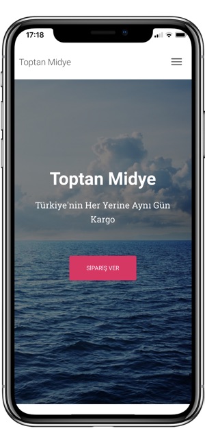 Toptan Midye