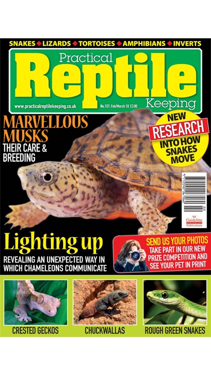 Practical Reptile Keeping