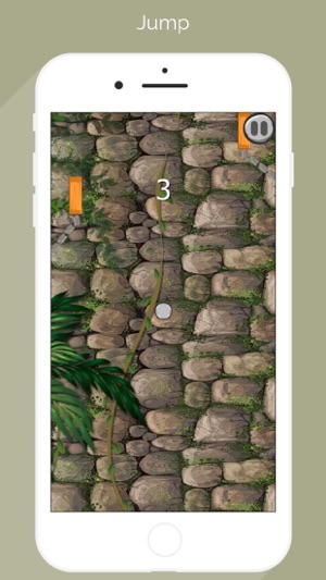 Danger Rock Pro