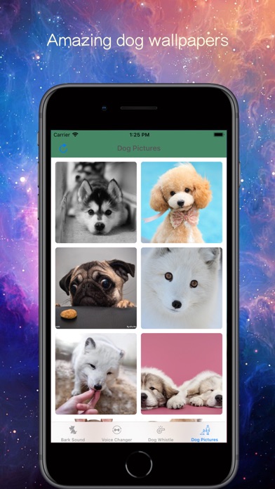 How to cancel & delete Bark Voice Changer from iphone & ipad 4