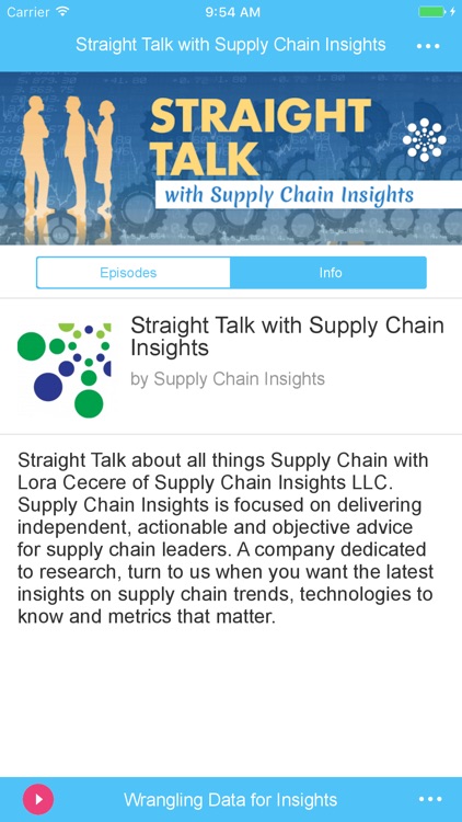 Supply Chain Insights Podcast