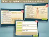 Total Reflexology-3D ipad bilder 2