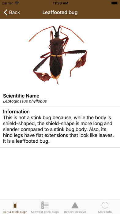 Midwest Stink Bug iPhone screenshot 5 - Reference app