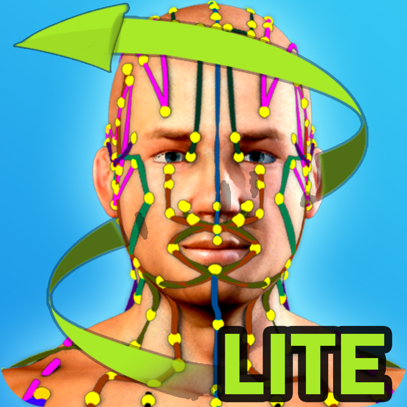 GraphicVizion