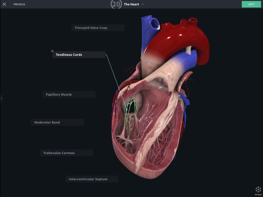 Complete Anatomy 2019 Online Game Hack and Cheat