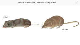 mammals of north america lite problems & solutions and troubleshooting guide - 3