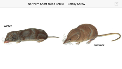 Mammals of North America LITEのおすすめ画像5