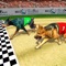 The real crazy dog racing in 3D simulation started in the town
