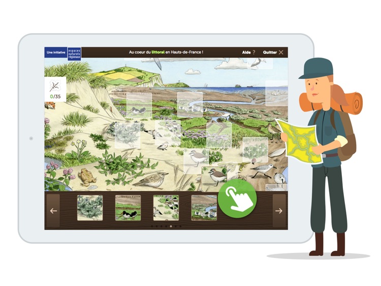 Littoral écosystème