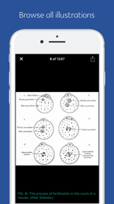 Anatomy of Human Body - audio screenshot