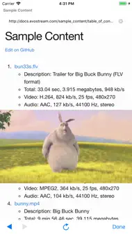 Fast Flash -Browser And Player iphone bilder 3